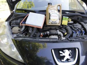 tagliando peugeot 207